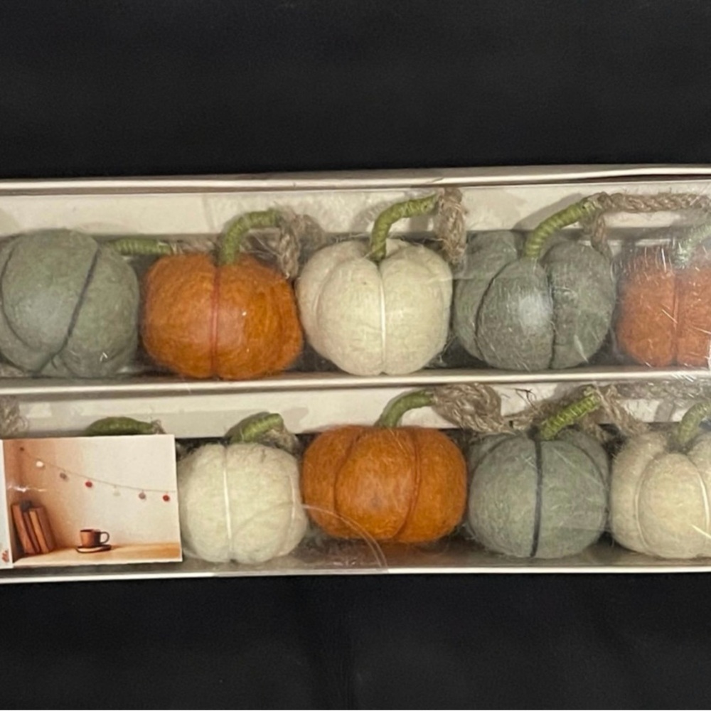 Thanksgiving The Farmhouse by Rachel Ashwell Pumpkins Garland